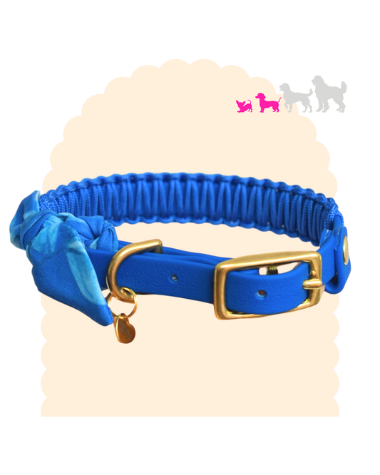 Collier fin Suzette 13 mm pour petit chien, bleu avec foulard, paracorde et bouclerie dorée