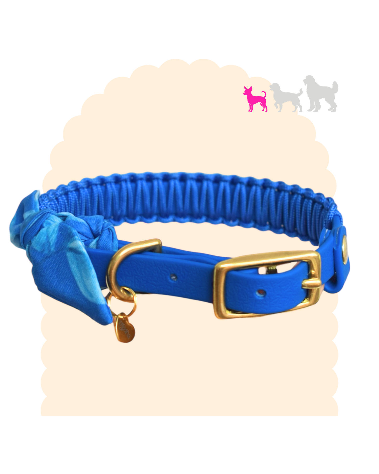 Collier à foulard personnalisé pour petit chien avec sangle imperméable et bouclerie.