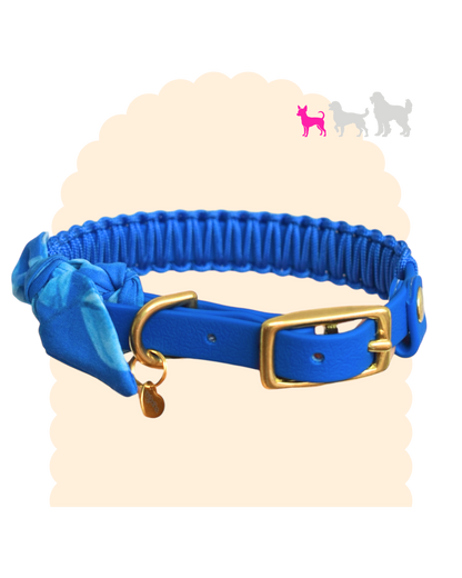 Collier à foulard personnalisé pour petit chien avec sangle imperméable et bouclerie.