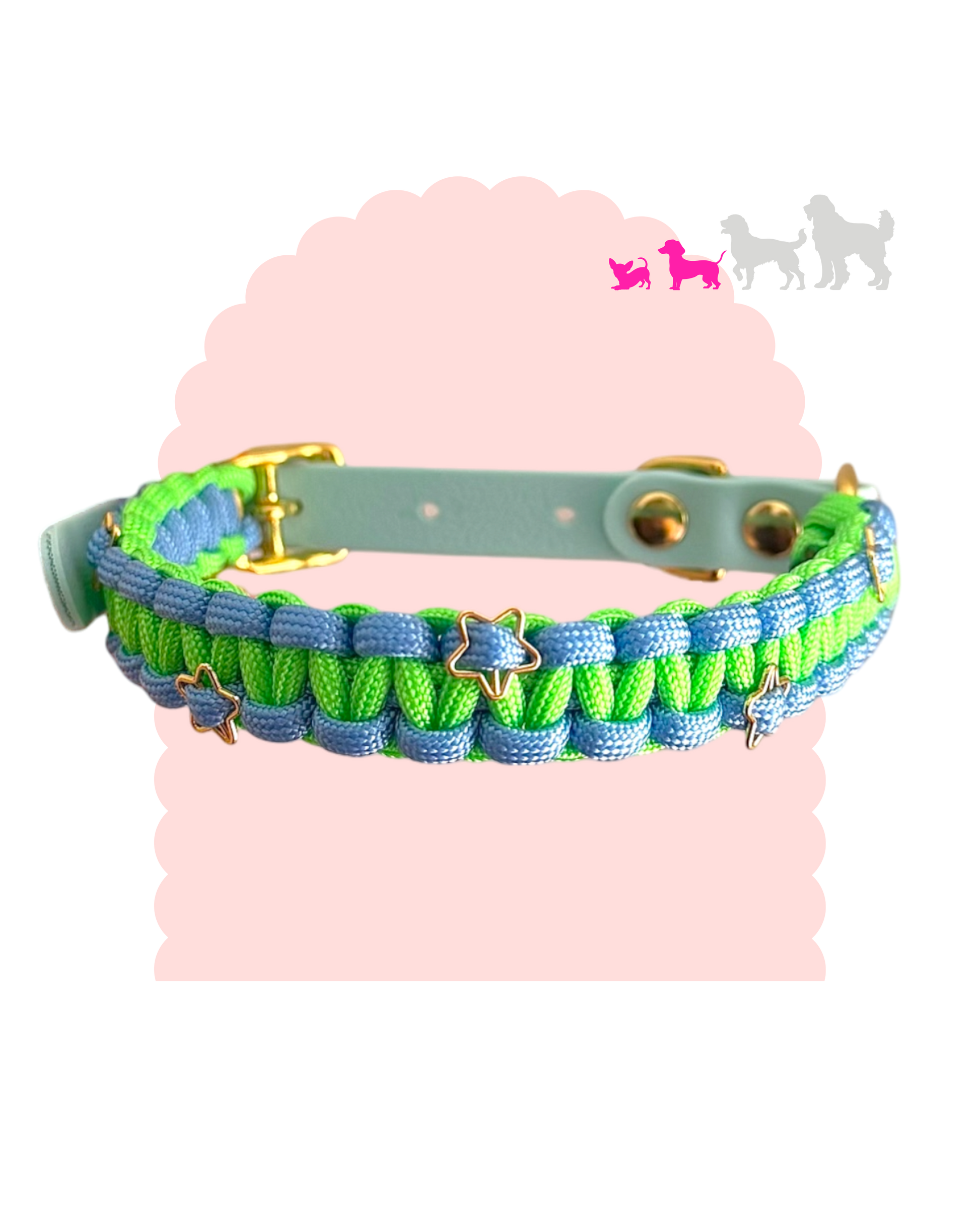 Collier personnalisé pour petit à moyen chien en paracorde avec décorations et bouclerie argentée ou dorée
